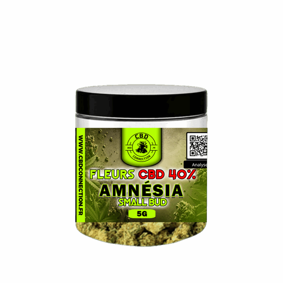 Gamme Classique Pot Fleurs CBD 40% AMNESIA SMALL BUD