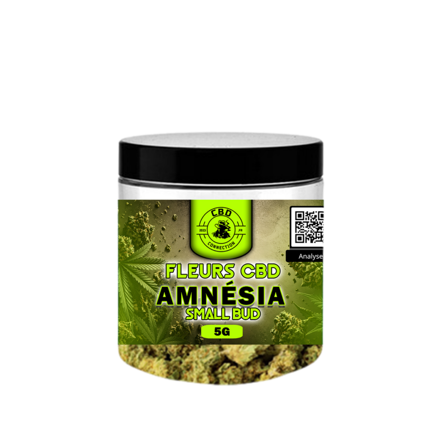 Gamme Classique Pot Fleurs CBD AMNESIA SMALL BUD