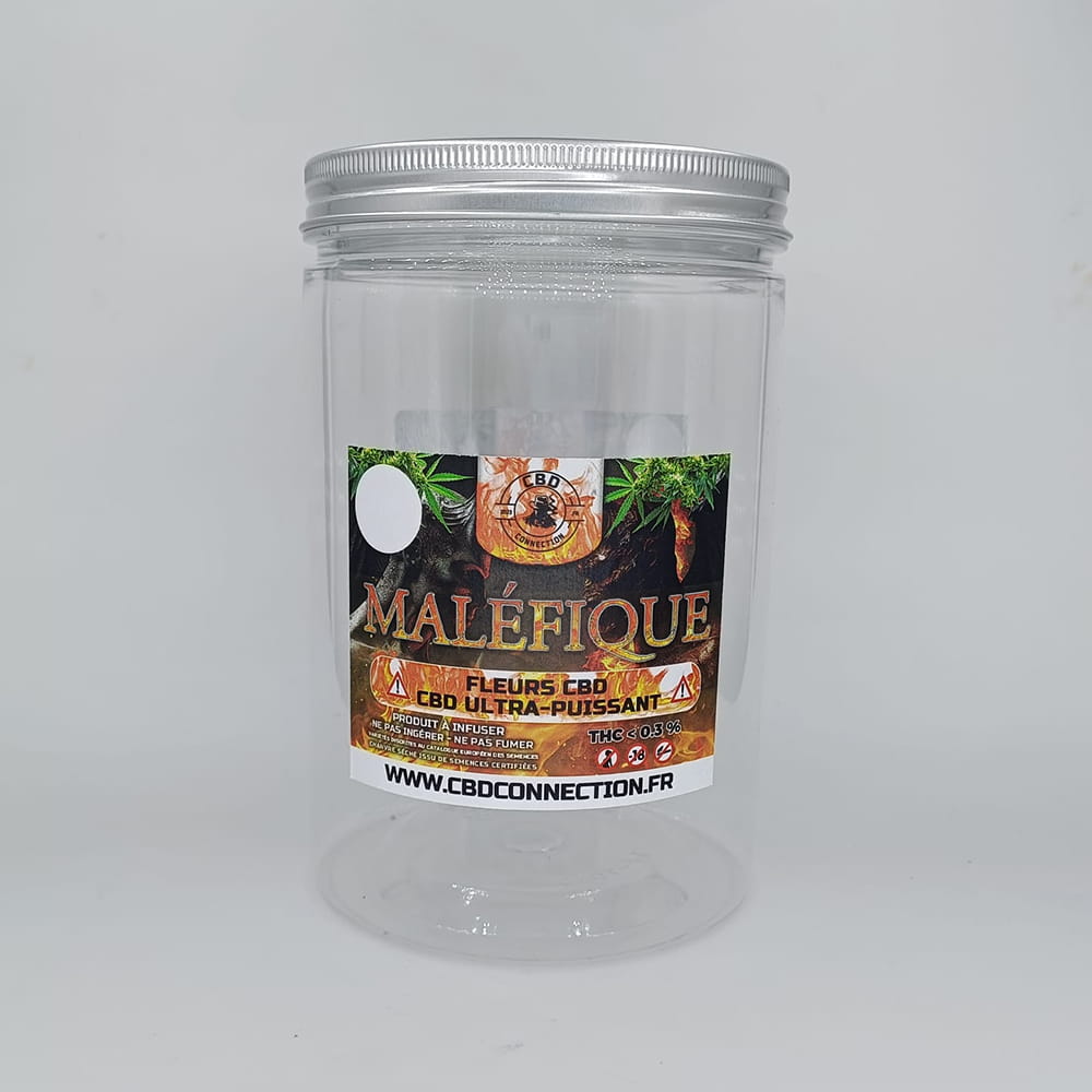 Vase pops Fleurs Maléfique