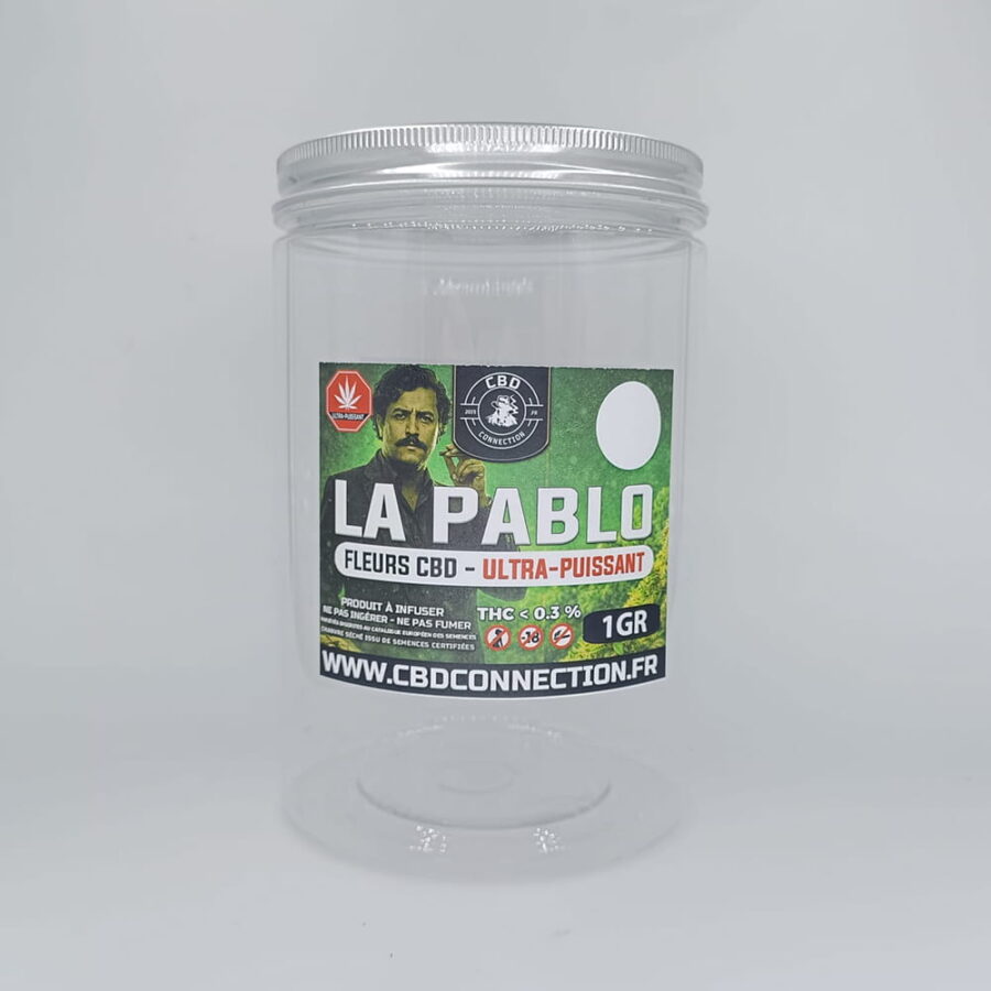 Vase pops Fleurs La Pablo