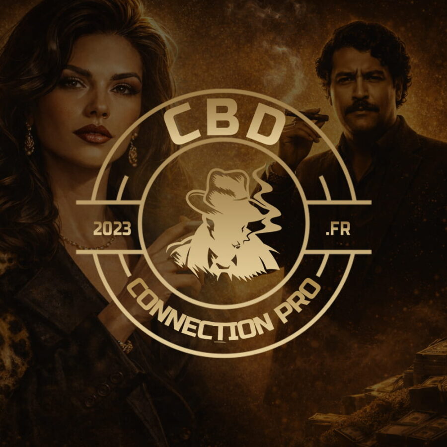 Pack La Pablo / La Griselda 40 Pcs