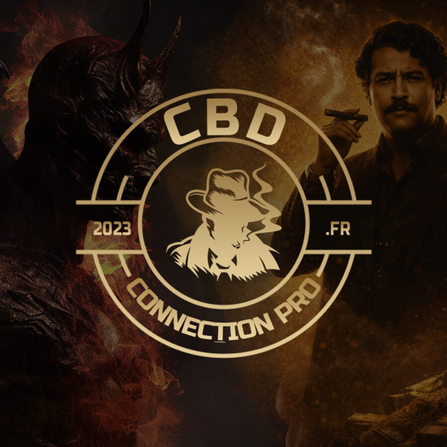 Pack Maléfique / la pablo 31 Pcs