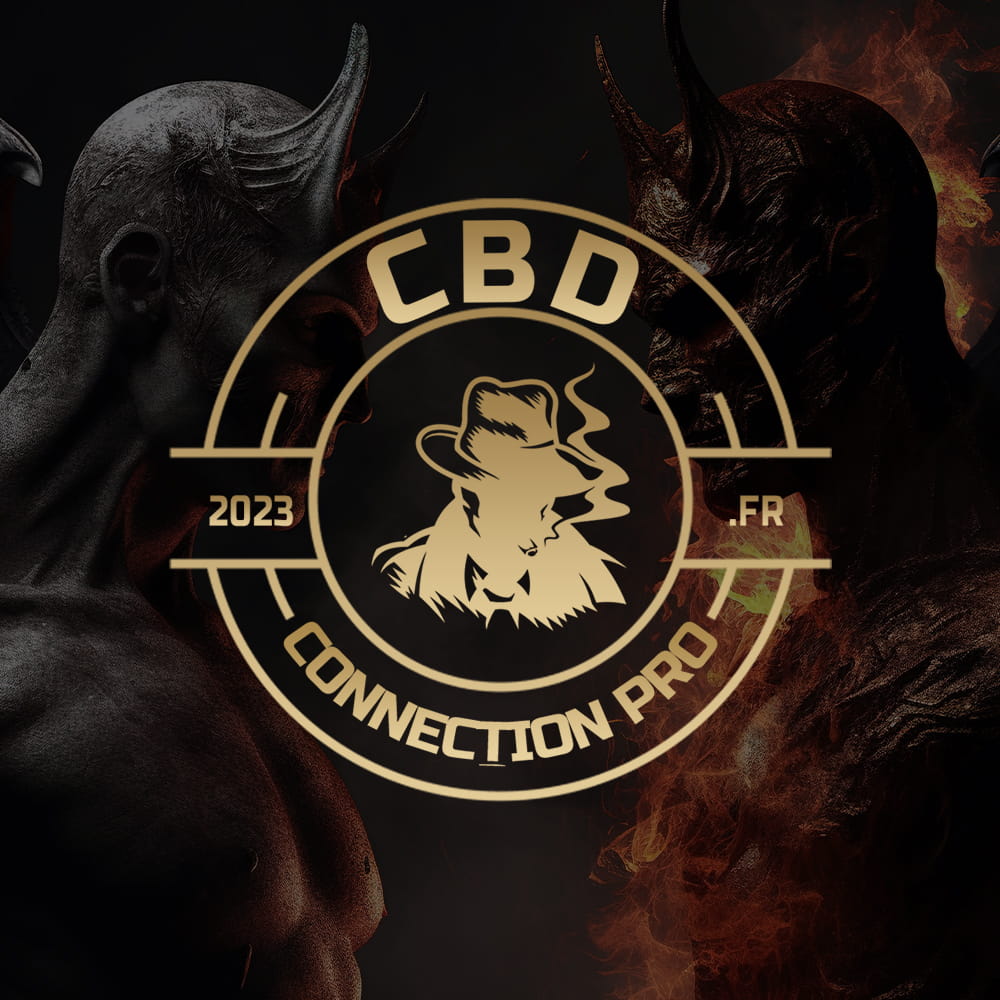 Pack Maléfique 31 Pcs