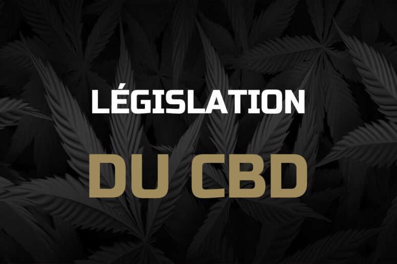 bienvenue-dans-l-univers-du-cbd