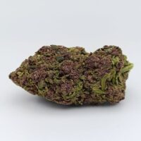 Fleurs CBD PURPLE Bud Indoor