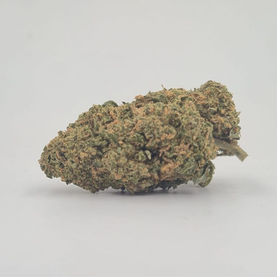 Fleurs CBD Maléfique BUD INDOOR – Image 2