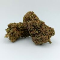 Fleurs CBD PURPLE Bud Greenhouse – Image 2
