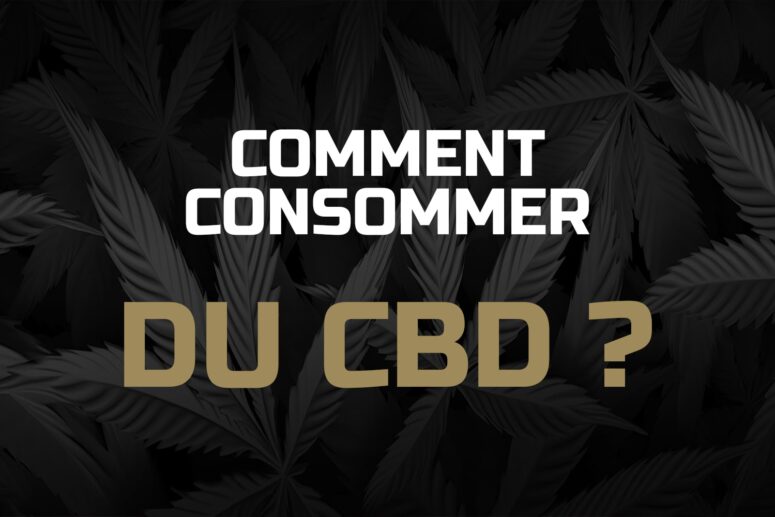 le-trim-cbd-de-grands-effets-a-moindre-cout