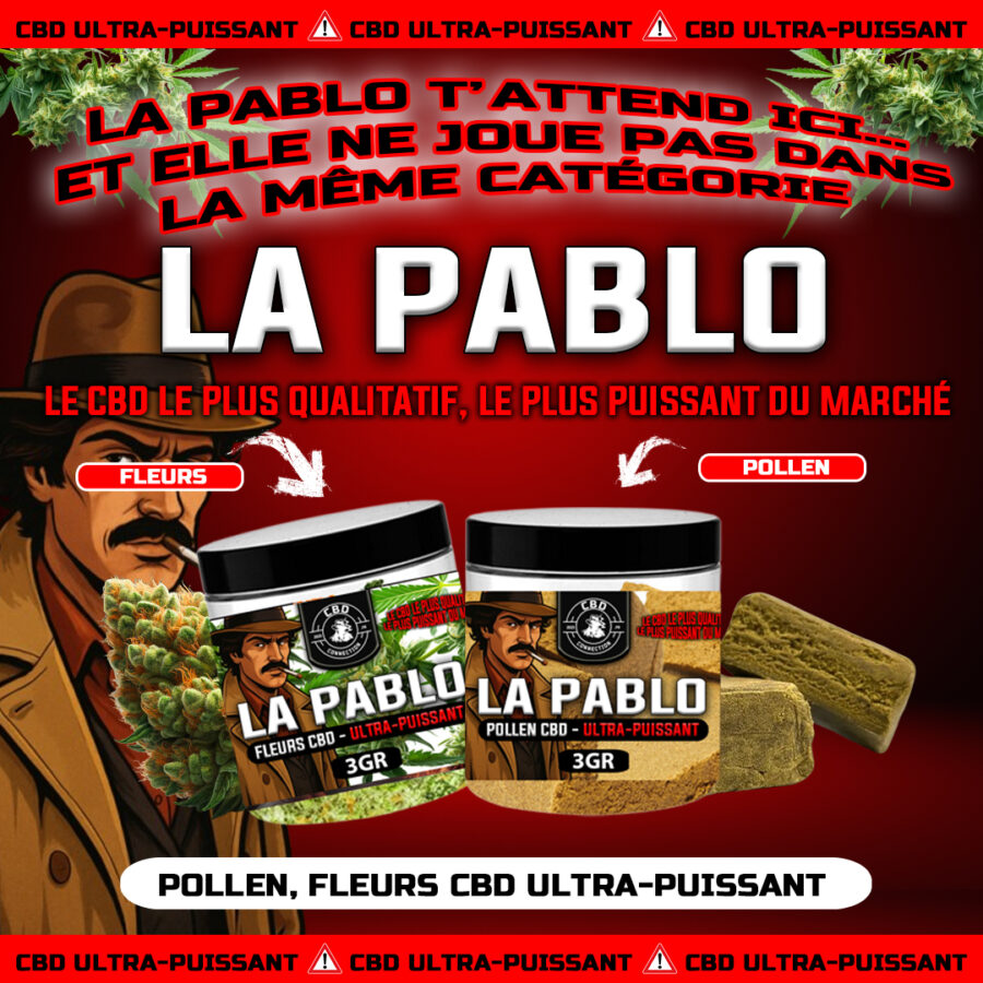 Pack Maléfique / la pablo 31 Pcs