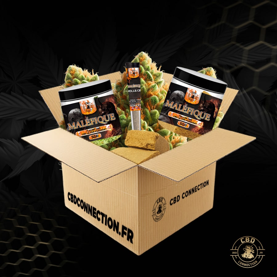 Pack Maléfique 31 Pcs